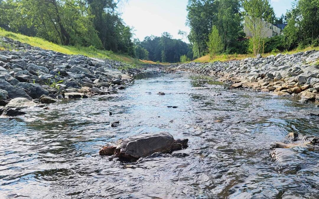 Climate Resilience Benefit-Cost Analysis Tool for Water Utilities